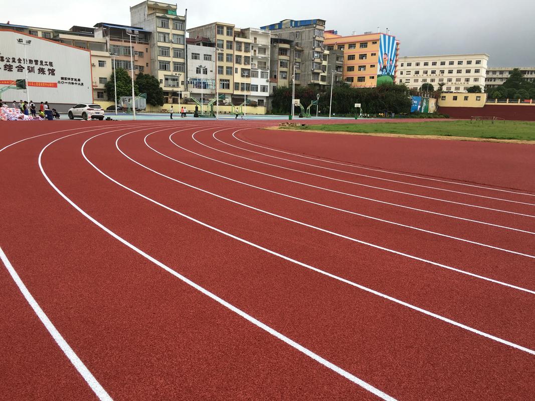 阿拉善盟学校塑胶跑道塑胶跑道材料 - 方案